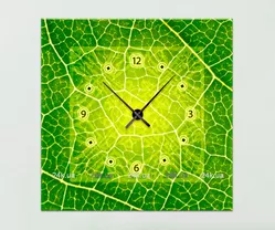 1C-22-60x60-W